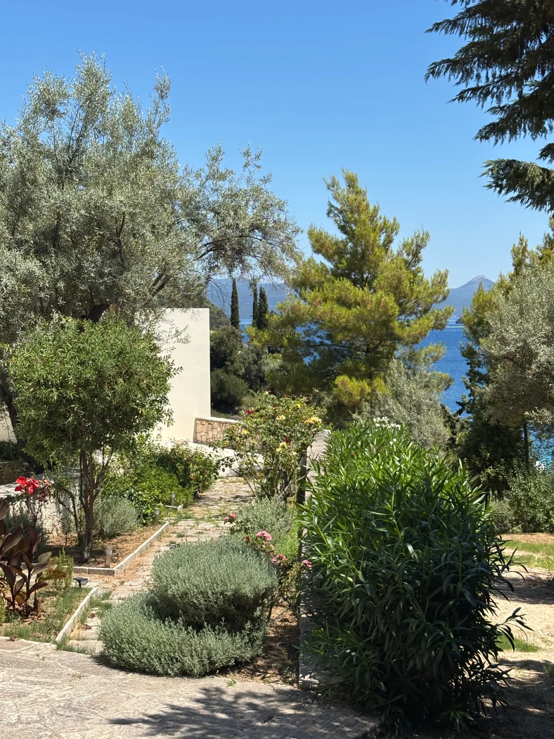 Villa view