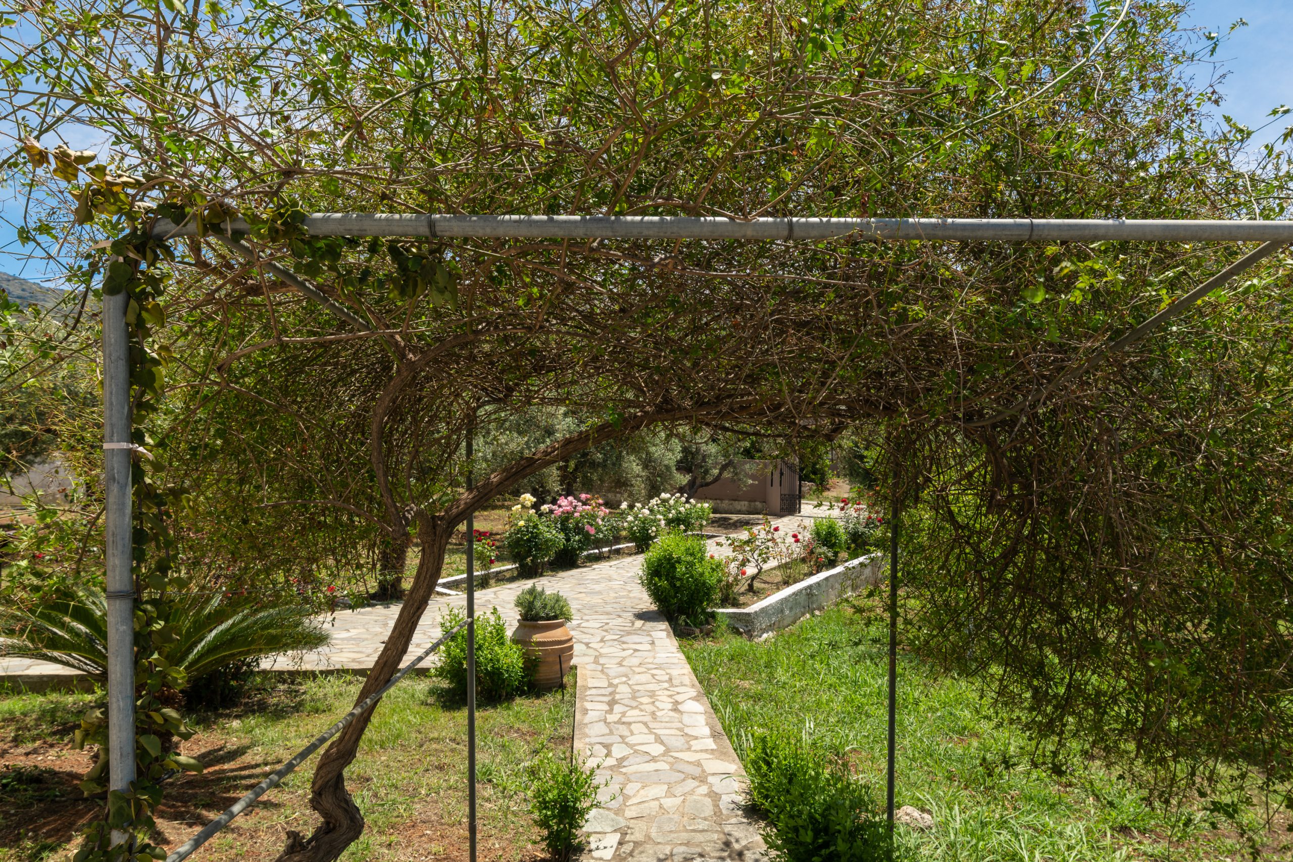 Villa view