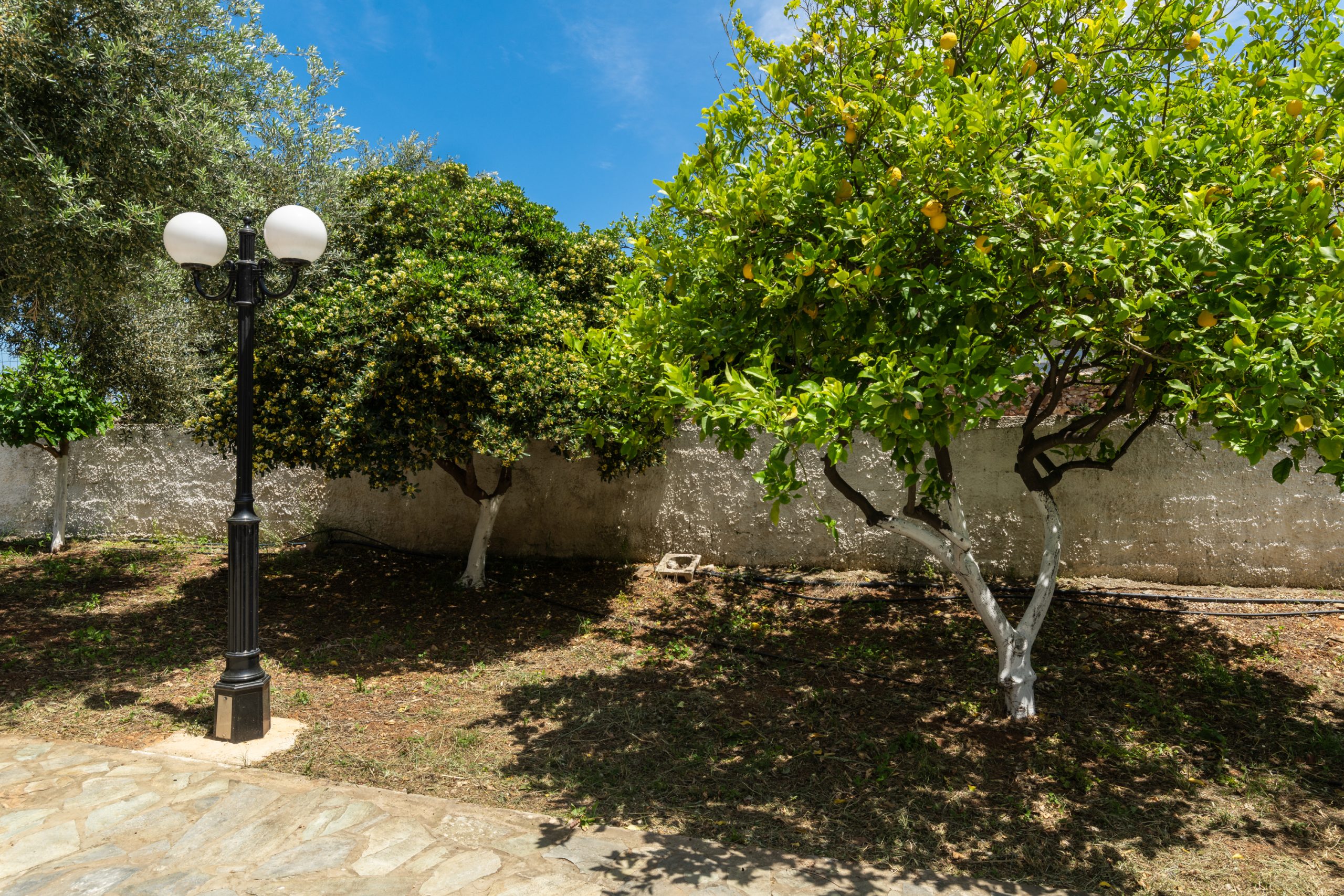 Villa view