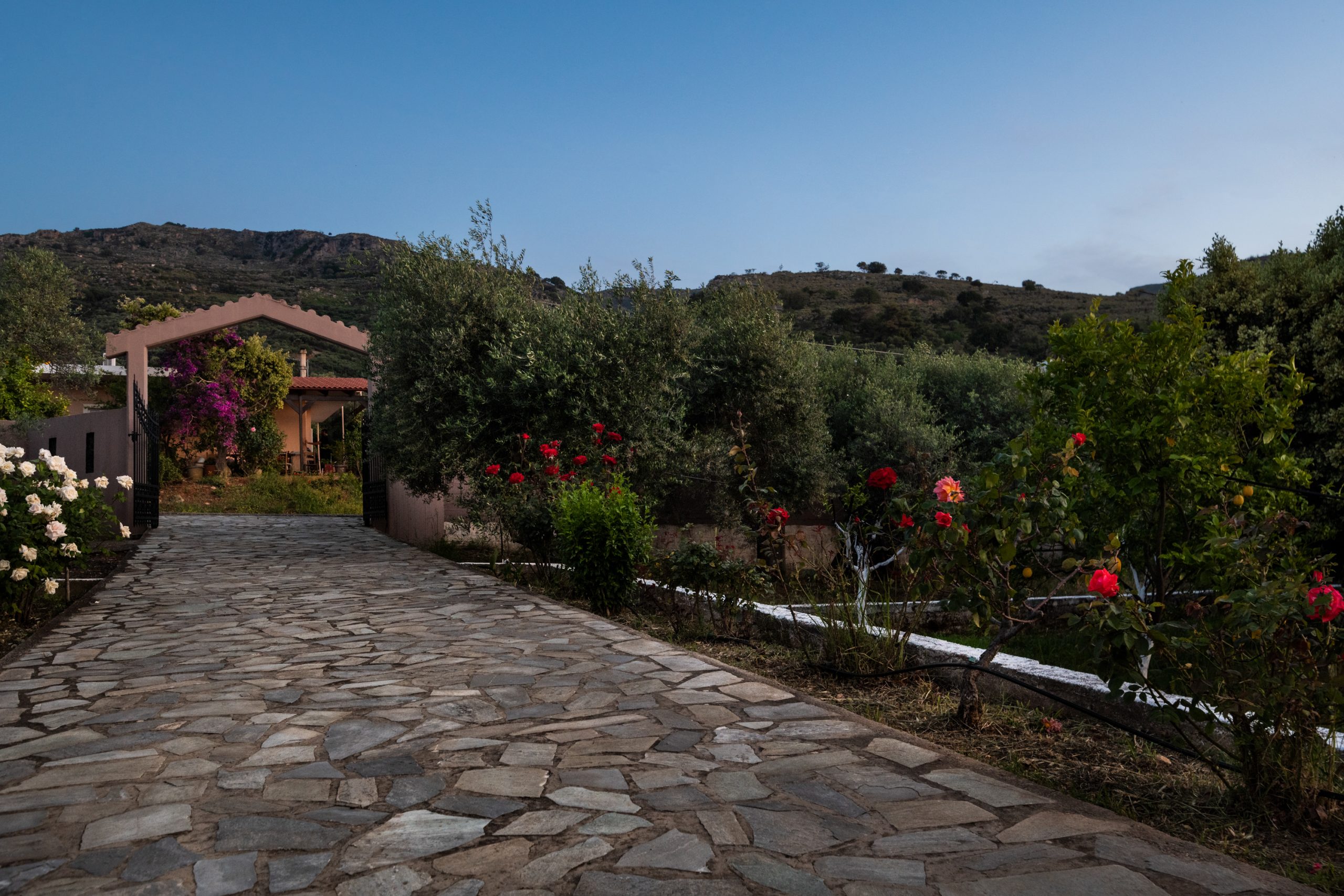 Villa view