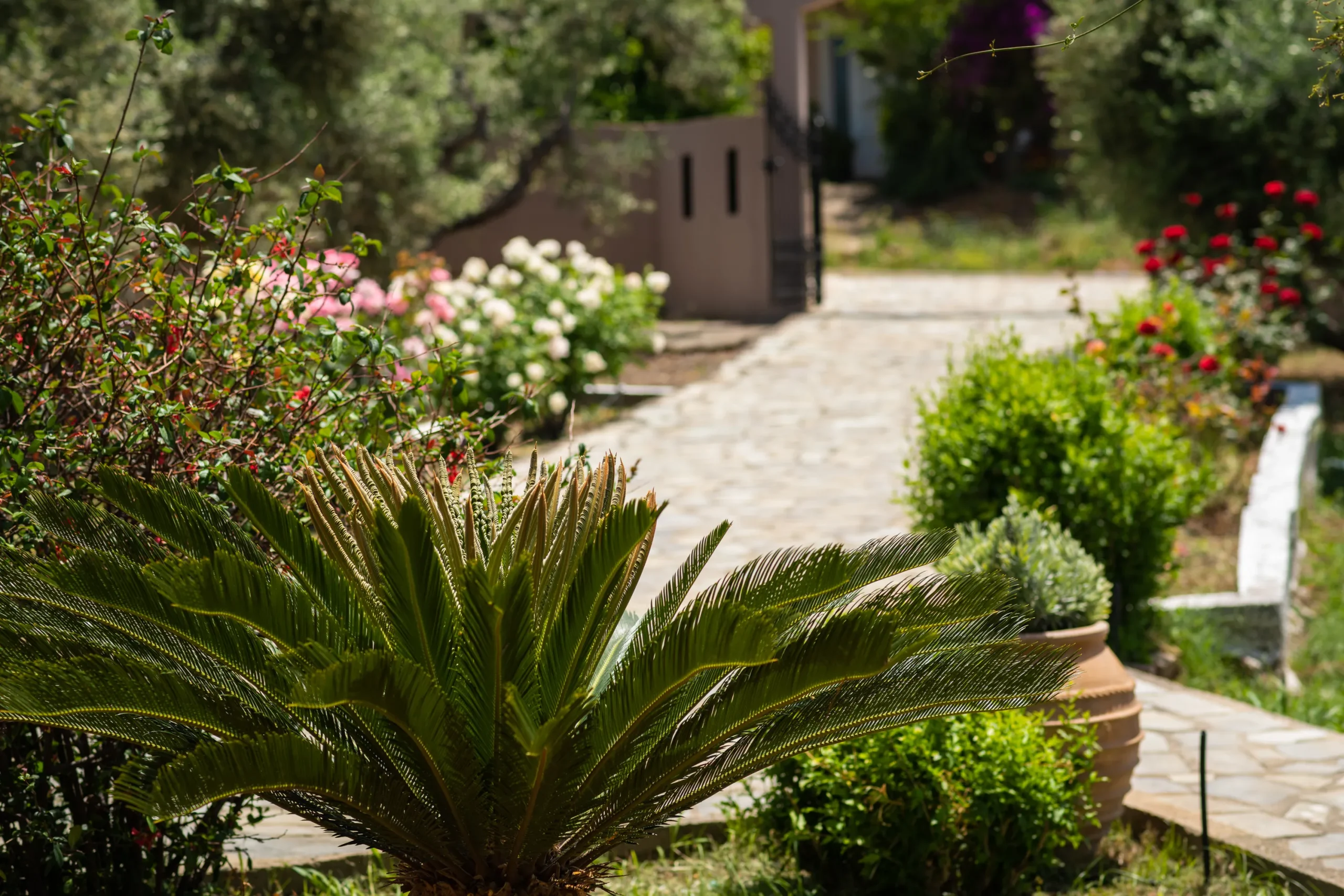 Villa view